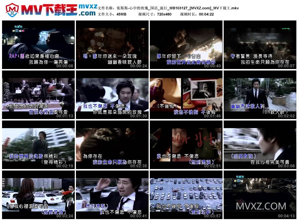 张斯斯-心中的玫瑰_国语_流行_MB103127